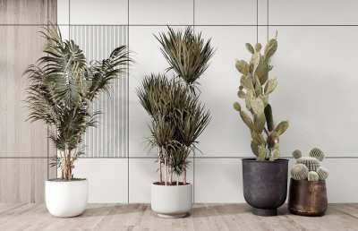 现代植物盆栽3D模型下载